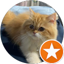 Apiwat profile picture